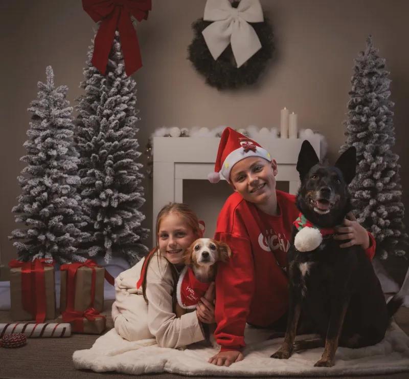 Twee kinderen met twee honden voor de open haard